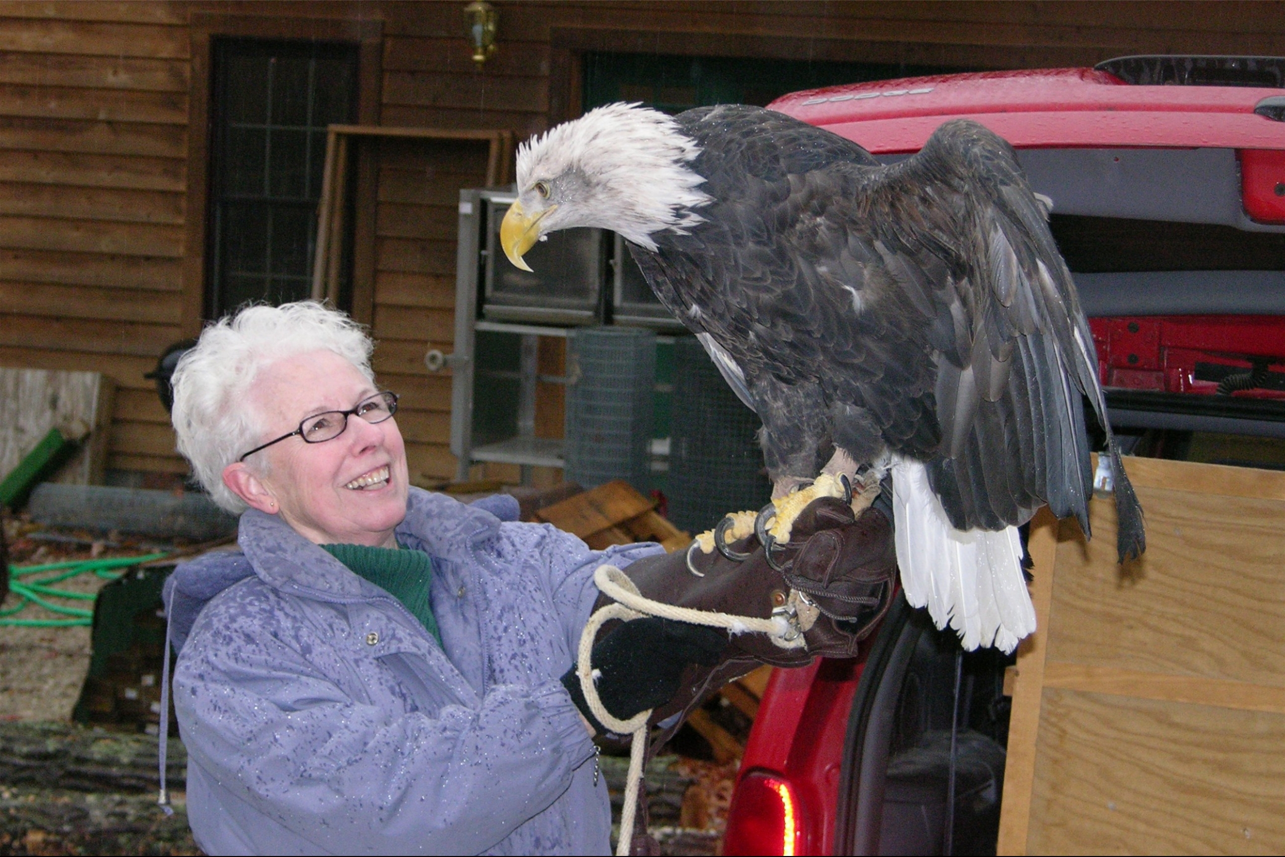 Liz Hatton and Bald Eagle